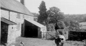 Troakes Farm, Clayhidon c. 1950