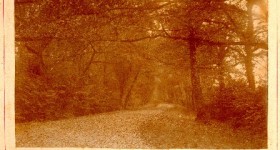 Picture of Bridwell Avenue, Halberton, Devon